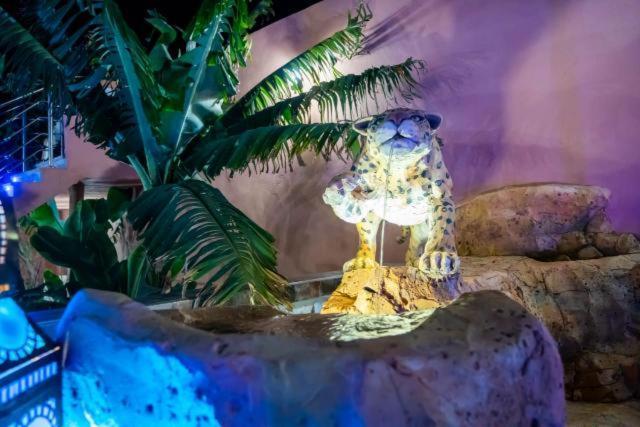 Riad Dar Salam Hotel Agadir Ngoại thất bức ảnh