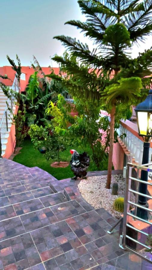 Riad Dar Salam Hotel Agadir Ngoại thất bức ảnh